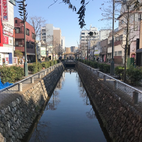 橋